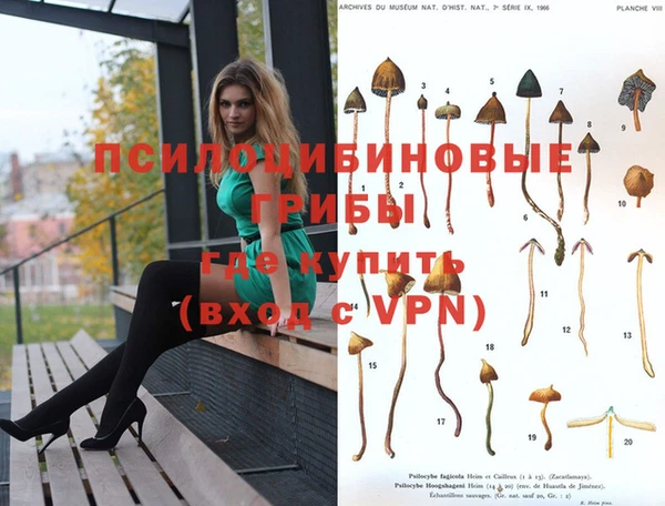 прущая мука Магадан