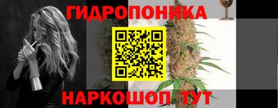 молекула духа Пенза
