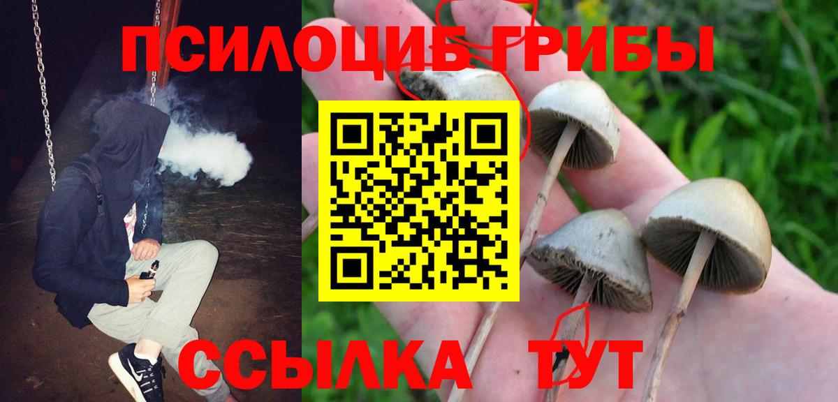 Псилоцибиновые грибы MAGIC MUSHROOMS Реж