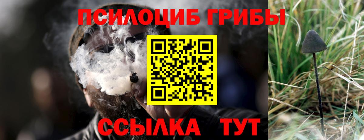 Галлюциногенные грибы мухоморы  Вход с VPN  Реж 